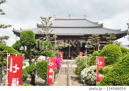 法雲寺[大雄宝殿](本堂)　【大阪府堺市美原区】 114566054