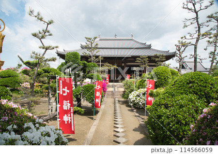 法雲寺[大雄宝殿](本堂)　【大阪府堺市美原区】 114566059