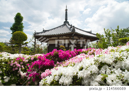 法雲寺(六角堂)　【大阪府堺市美原区】 114566089