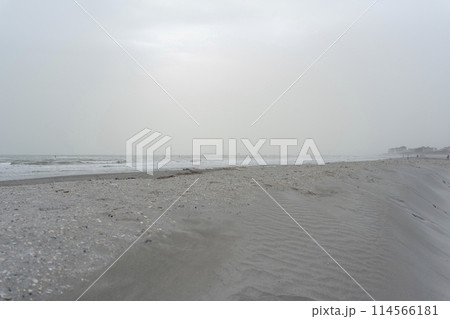 Nice beach with a gray sky and a many seashells brought by the storm Nice beach with a gray sky and a many seashells brought by the storm 114566181