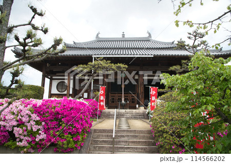 法雲寺[大雄宝殿](本堂)　【大阪府堺市美原区】 114566202