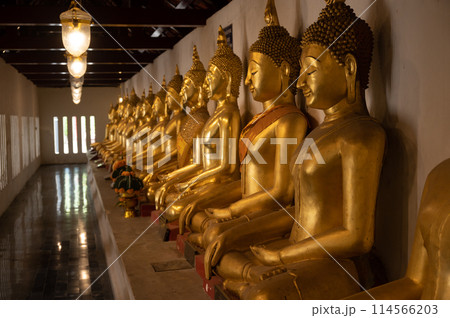 Group of seated Buddha statue in Wat Phra Sri Rattana Mahathat temple in Phitsanulok province. Group of seated Buddha statue in Wat Phra Sri Rattana Mahathat temple in Phitsanulok province. 114566203