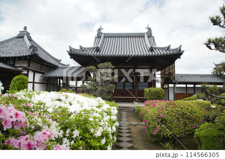 法雲寺(開山堂)　【大阪府堺市美原区】 114566305
