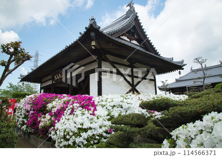 法雲寺(天王殿)　【大阪府堺市美原区】 114566371