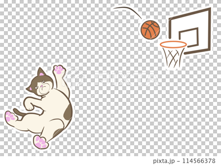 Mackerel and white cat playing basketball Mackerel and white cat playing basketball 114566378