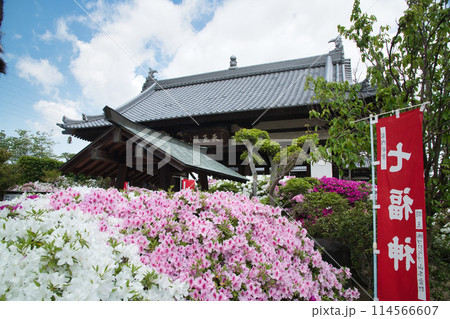 法雲寺(天王殿)　【大阪府堺市美原区】 114566607