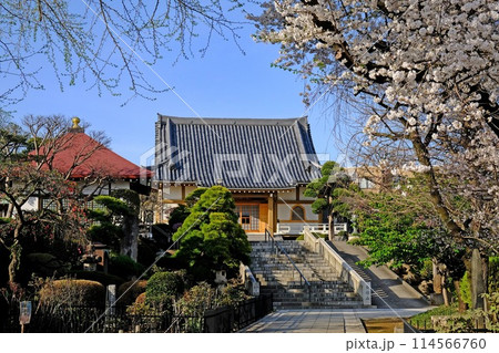 東京都中野区 東福寺 東京都中野区 東福寺 114566760