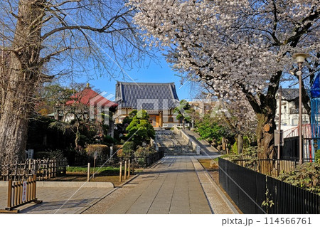 東京都中野区　東福寺 114566761