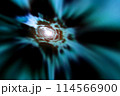 宇宙空間のワープをイメージした背景素材（ワームホール ・ブラックホールのイメージ） 114566900
