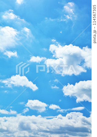 夏の青空と雲 114567305