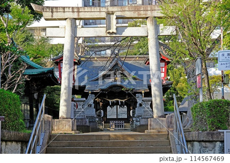 東京都中野区　江古田氷川神社 114567469