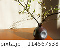 小さな花瓶に小ぶりな枝を小粋に飾って楽しむ生活スタイル 114567538