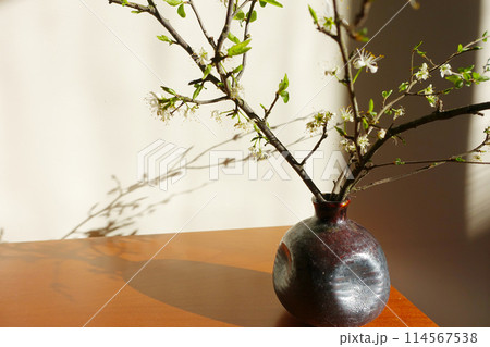 小さな花瓶に小ぶりな枝を小粋に飾って楽しむ生活スタイル 小さな花瓶に小ぶりな枝を小粋に飾って楽しむ生活スタイル 114567538
