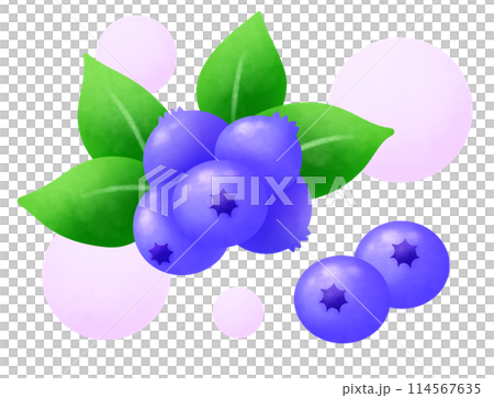 たくさんのブルーベリーとふわふわ丸のイラスト 114567635