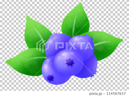 葉っぱがついたたくさんのブルーベリーのイラスト 114567637