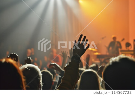Excited audience at a live music concert with energetic crowd cheering and raising their hands in silhouette. Enjoying the entertainment and celebration of the event 114567722