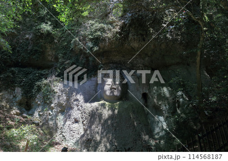 熊野磨崖仏「大日如来像」 114568187