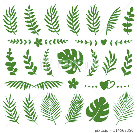 Tropical summer set palm eucalyptus leaves branches 114568350