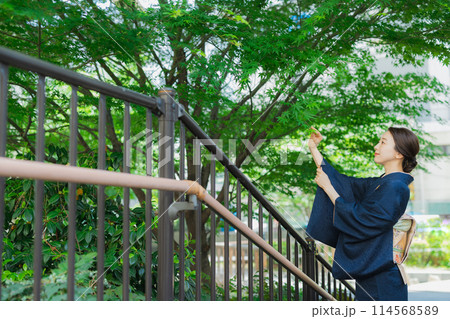 訪問着の着物を着た女性 114568589