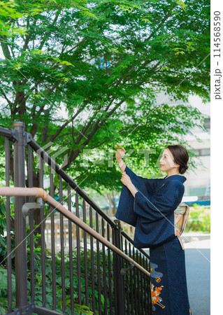 訪問着の着物を着た女性 訪問着の着物を着た女性 114568590