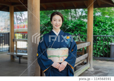 訪問着の着物を着た女性 訪問着の着物を着た女性 114568591