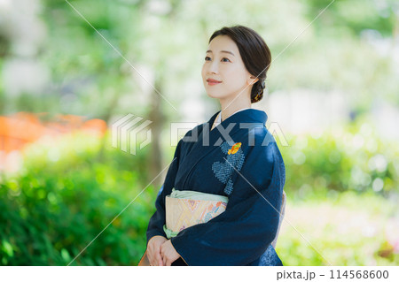 訪問着の着物を着た女性 訪問着の着物を着た女性 114568600