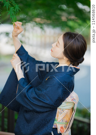 訪問着の着物を着た女性 訪問着の着物を着た女性 114568610