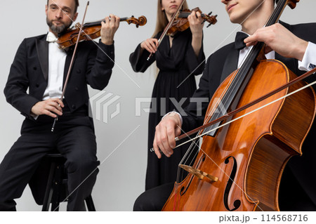 Professional violoncellist with cello and fiddlers with violins playing symphonic music Professional violoncellist with cello and fiddlers with violins playing symphonic music 114568716
