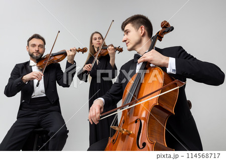 Musicians playing contrabass and violins Musicians playing contrabass and violins 114568717