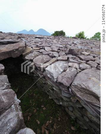 野田院古墳 古墳の日1 野田院古墳 古墳の日1 114568774