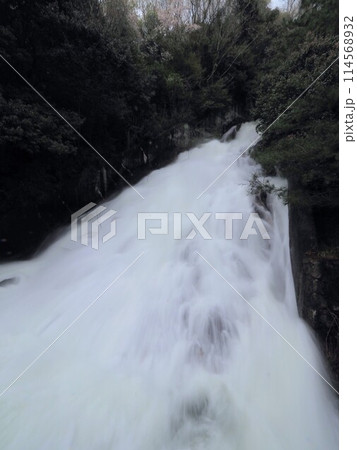 満濃池の湯手から流れる幻の滝2024【香川県仲多度郡まんのう町】8 満濃池の湯手から流れる幻の滝2024【香川県仲多度郡まんのう町】8 114568932