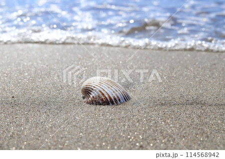 福岡県糸島市の深江海水浴場 114568942