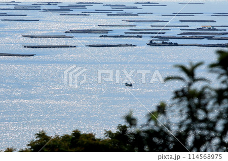広島らしい瀬戸内海風景 広島らしい瀬戸内海風景 114568975