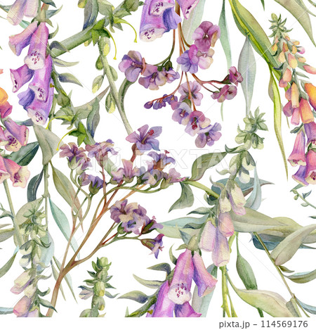 Hand drawn watercolor illustration boho botanical flowers leaves. Foxglove snapdragon lupin, willow eucalyptus, bergenia heliotrope. Seamless pattern isolated on white. Design wedding, gift paper 114569176