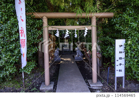 犬猫の神社 114569465