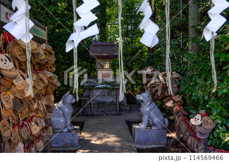 犬猫の神社 114569466
