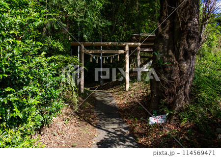 磯部勝坂石楯尾神社の鳥居 磯部勝坂石楯尾神社の鳥居 114569471