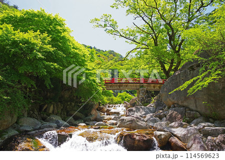 渓流流れる新緑の湯の山温泉《大石公園周辺》 114569623