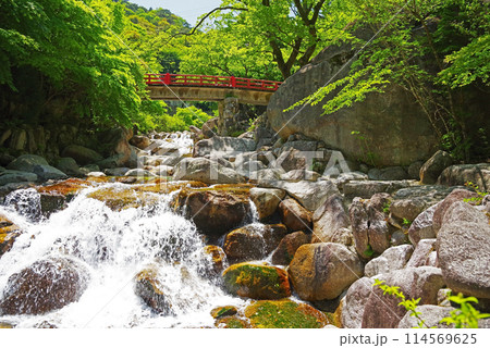 渓流流れる新緑の湯の山温泉《大石公園周辺》 114569625