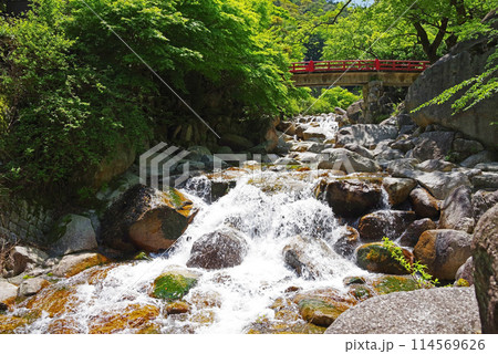 渓流流れる新緑の湯の山温泉《大石公園周辺》 114569626