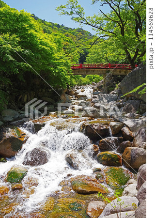 渓流流れる新緑の湯の山温泉《大石公園周辺》 114569628