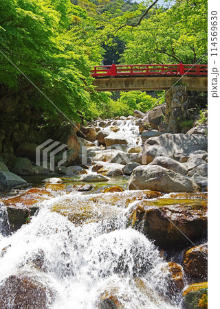 渓流流れる新緑の湯の山温泉《大石公園周辺》 114569630