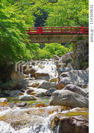 渓流流れる新緑の湯の山温泉《大石公園周辺》 114569632