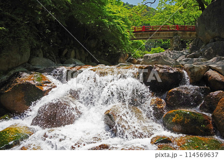 渓流流れる新緑の湯の山温泉《大石公園周辺》 114569637
