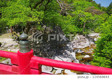 渓流流れる新緑の湯の山温泉《大石公園周辺》 渓流流れる新緑の湯の山温泉《大石公園周辺》 114569643
