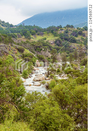 Mountain river in Yosemite Valley flows among 114569712