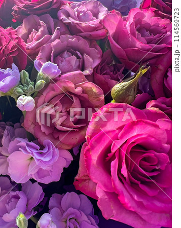 Background of colorful beautiful roses 114569723