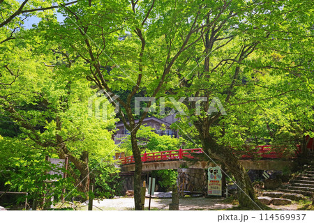 新緑が鮮やかな湯の山温泉《大石公園・大石橋》 114569937