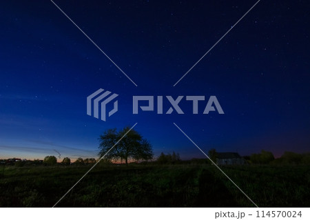 A captivating long exposure photograph of a starry night sky featuring a striking tree silhouette and a distant house. This serene and peaceful image is perfect for a variety of projects. A captivating long exposure photograph of a starry night sky featuring a striking tree silhouette and a distant house. This serene and peaceful image is perfect for a variety of projects. 114570024