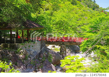 新緑が鮮やかな湯の山温泉《大石公園・大石橋》 114570048